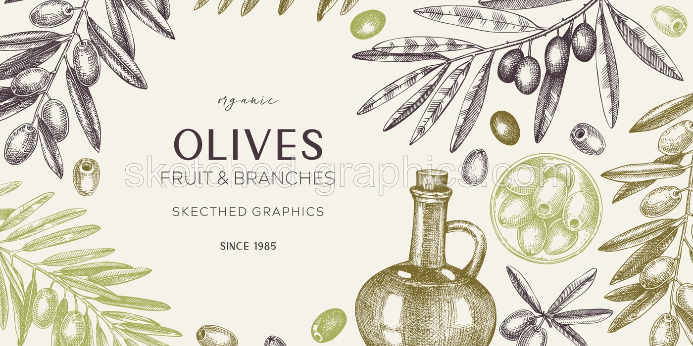 Olive oil banner design. Olives, tree branches, oil bottle sketches. Mediterranean food background in retro style. Hand-drawn vector illustration. NOT AI generated. Illustration